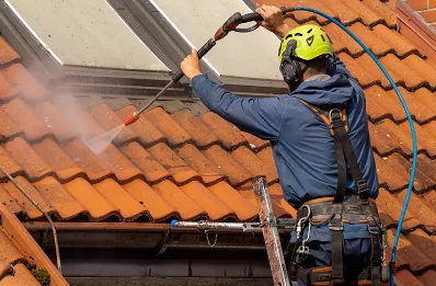 Démoussage et hydrofuge de toiture à Roche-de-Rame
